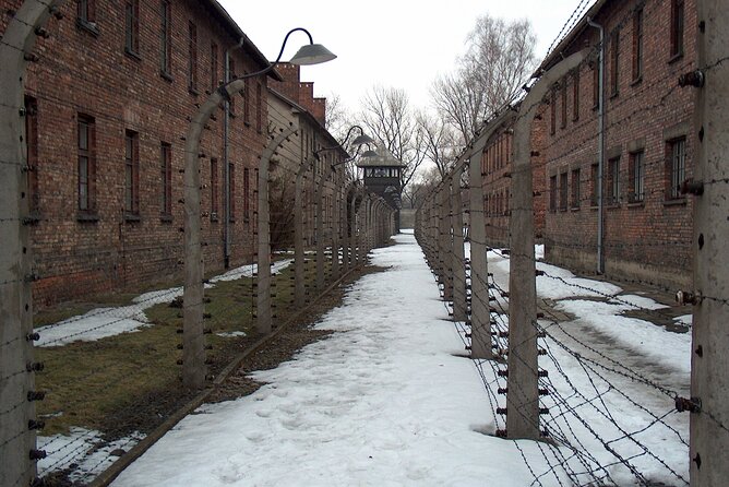 Exclusive Small Group Auschwitz-Birkenau Guided Tour from Krakow - Birkenau: scale, barracks, and the railway ramp