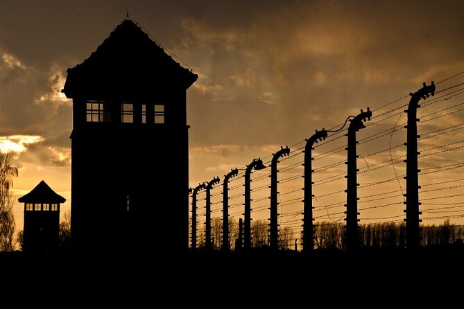 Exclusive Small Group Auschwitz-Birkenau Guided Tour from Krakow - The guide is the heart of the experience