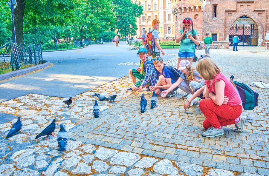 Family Tour of Krakow Old Town with Sweets Factory & Cruise - Key Points at a Glance