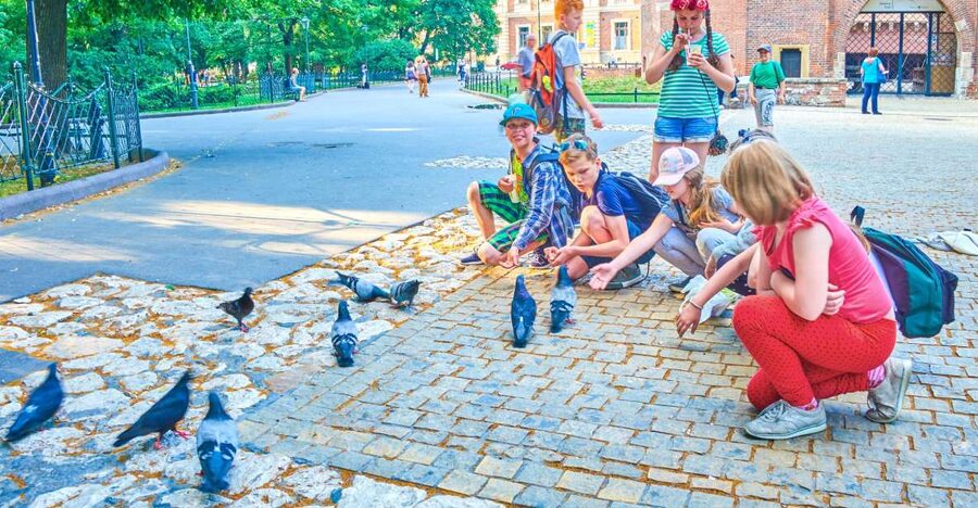 Family Tour of Krakow Old Town with Sweets Factory & Cruise - The Main Market Square and Cloth Hall