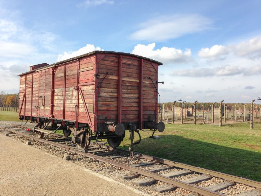 From Krakow: Auschwitz and Wieliczka Salt Mine Full-Day Trip - Who should book this day trip
