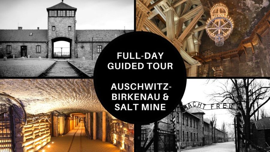 From Krakow: Auschwitz Birkenau and Salt Mine Guided Tour - Walking Through Auschwitz II-Birkenau