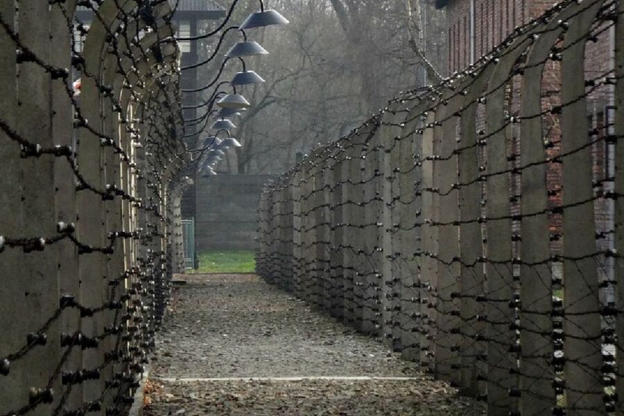From Krakow: Auschwitz Birkenau and Salt Mine Guided Tour - Is $120 a Fair Price?