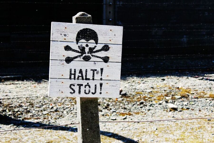 From Krakow: Auschwitz Birkenau and Salt Mine Guided Tour - Who Should Book This Krakow Day Trip?