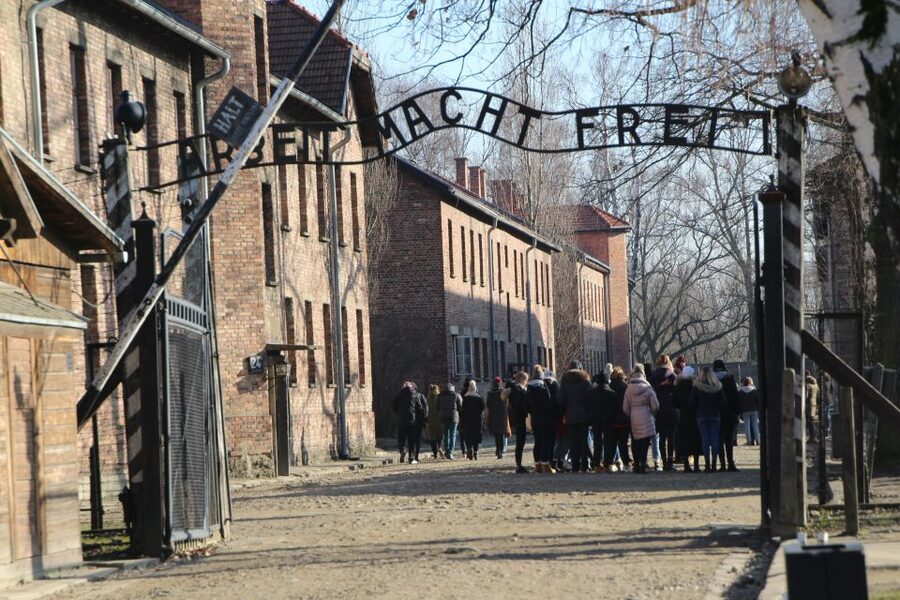 From Krakow: Auschwitz-Birkenau and Self-Guided Day Tour - What this Auschwitz-Birkenau trip really offers