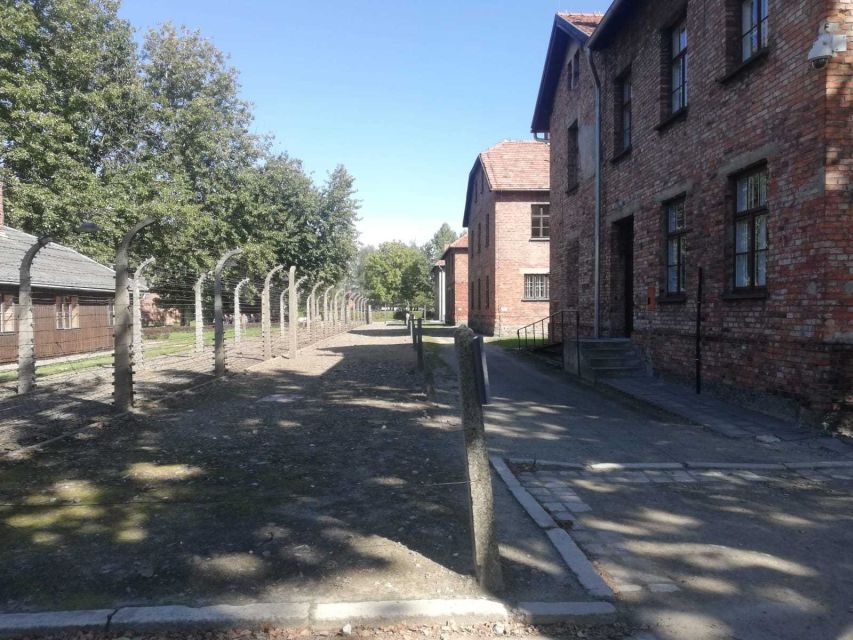 From Krakow: Auschwitz-Birkenau and Self-Guided Day Tour - Auschwitz II-Birkenau: scale and silence