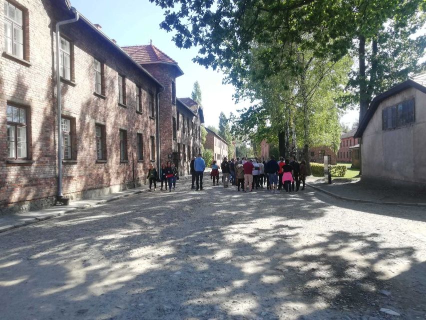 From Krakow: Auschwitz-Birkenau and Self-Guided Day Tour - Food breaks and the practical middle of the day