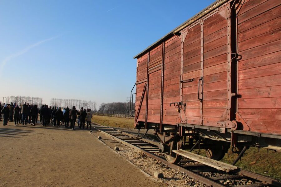 From Krakow: Auschwitz-Birkenau and Self-Guided Day Tour - Who should choose this self-guided format