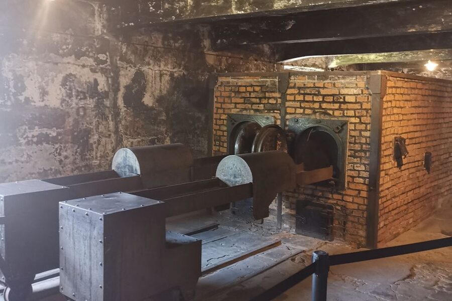 From Krakow: Auschwitz-Birkenau Camp Complex Guided Day Trip - Should you book it?