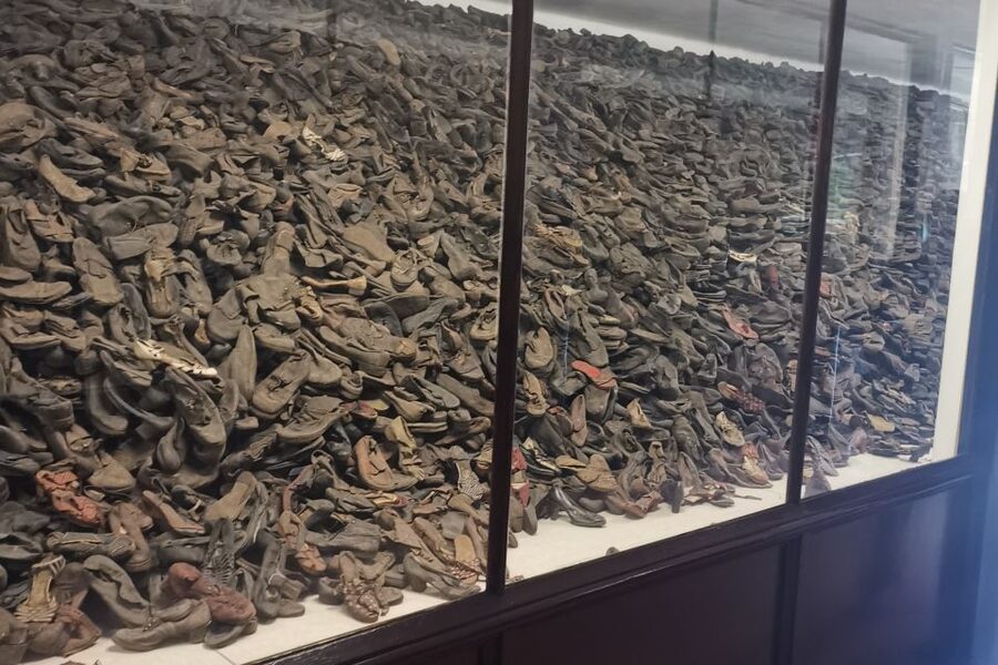 From Krakow: Auschwitz-Birkenau Camp Complex Guided Day Trip - Why this visit matters