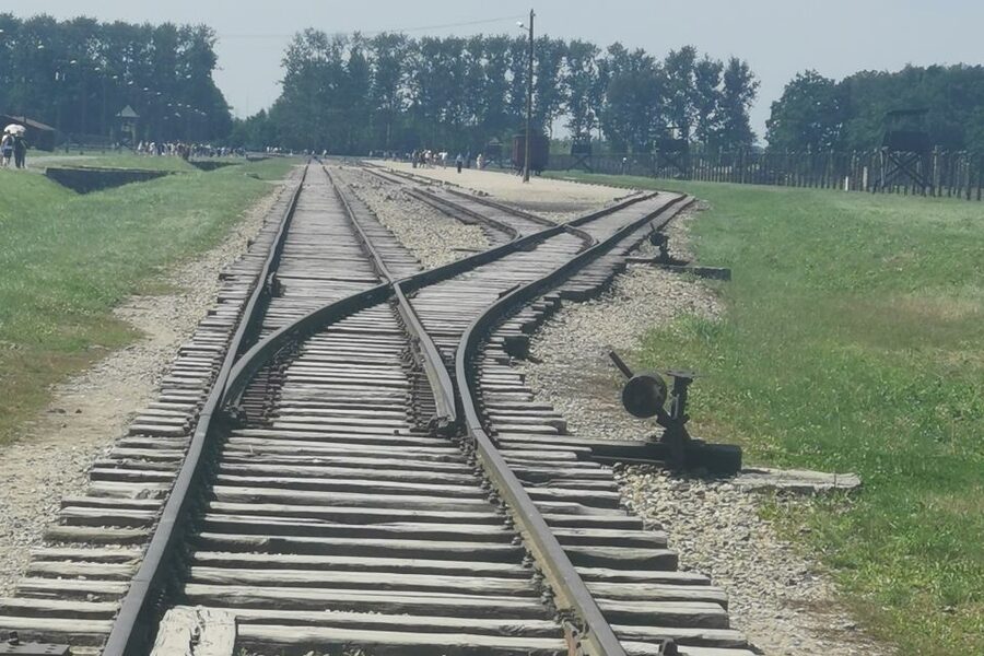 From Krakow: Auschwitz-Birkenau Camp Complex Guided Day Trip - Birkenau, the larger and more open site