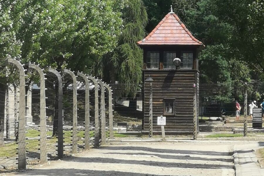 From Krakow: Auschwitz-Birkenau Camp Complex Guided Day Trip - The human story behind the camp system