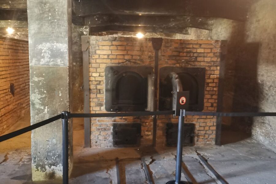 From Krakow: Auschwitz-Birkenau Camp Complex Guided Day Trip - What the guide and transport add