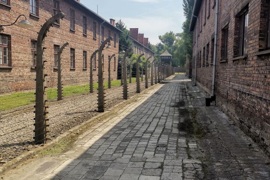 From Krakow: Auschwitz-Birkenau Camp Complex Guided Day Trip - Is $83 a fair price?