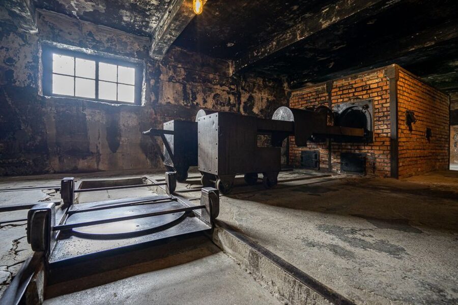 From Krakow: Auschwitz-Birkenau Full-Day Guided Tour - Who Should Book This Krakow Day Trip?