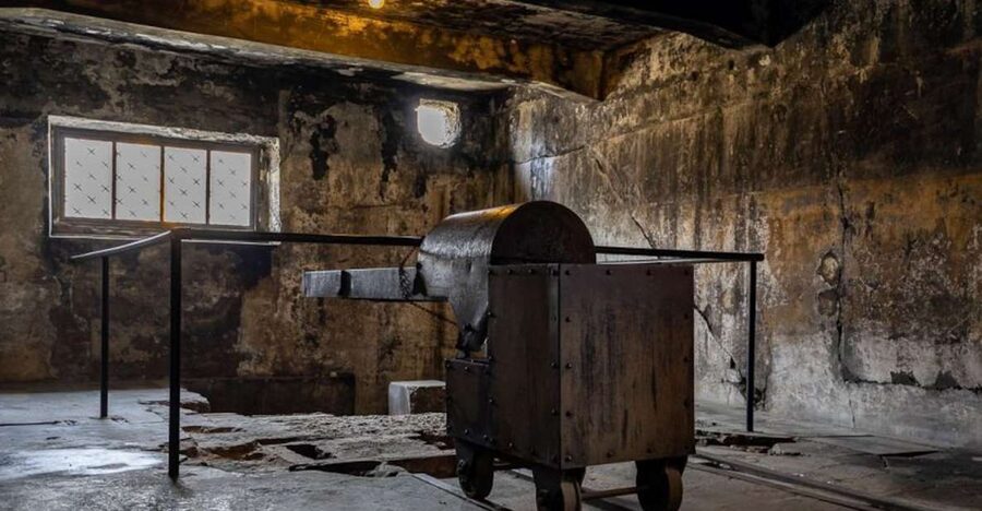 From Krakow: Auschwitz-Birkenau Full-Day Tour - What the exhibitions add