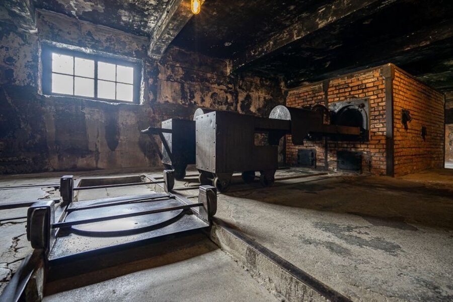 From Krakow: Auschwitz-Birkenau Full-Day Tour - Is $89 good value?