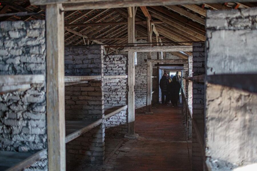 From Krakow: Auschwitz-Birkenau Guided Full-Day Tour - How the guide shapes the day