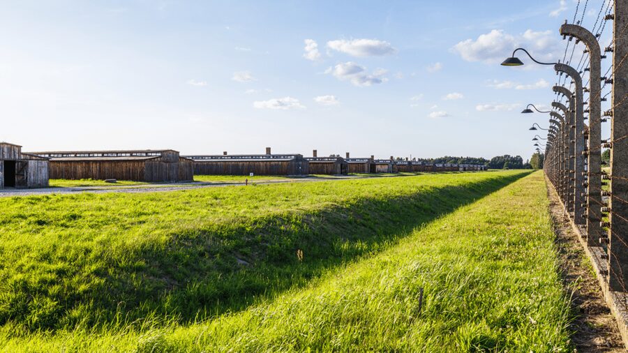 From Krakow: Auschwitz-Birkenau Guided Tour Guaranteed Time - Who Should Choose This Tour
