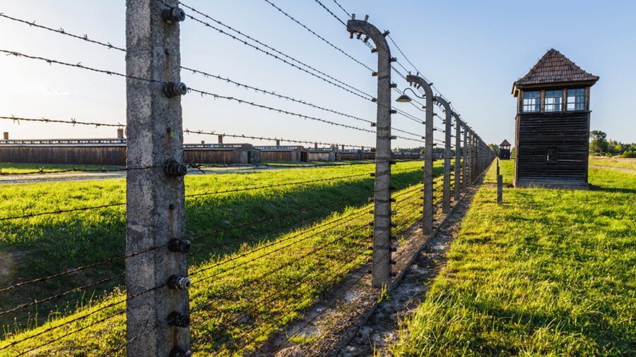 From Krakow: Auschwitz-Birkenau Guided Tour Guaranteed Time - Why a Guided Auschwitz Visit Works