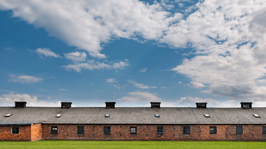 From Krakow: Auschwitz-Birkenau Guided Tour Guaranteed Time - Birkenau: Scale, Conditions, and Liberation