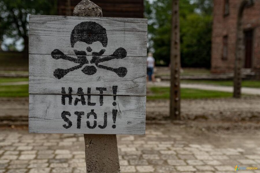 From Krakow: Auschwitz-Birkenau Guided Tour Guaranteed Time - Clothing, Bags, and Physical Demands