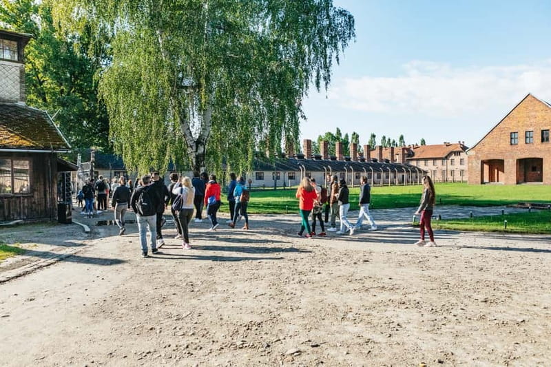 From Krakow: Auschwitz-Birkenau Guided Tour & Hotel Pickup - Timing, pickup, and practical details