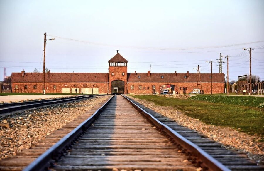From Krakow: Auschwitz-Birkenau Guided Tour & Pickup - Food, facilities, and the long day
