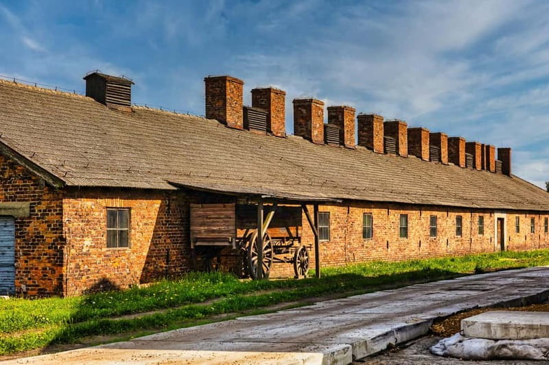 From Krakow: Auschwitz-Birkenau Guided Tour & Transport - Why this visit matters
