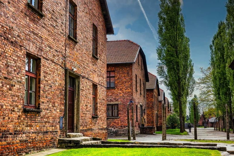 From Krakow: Auschwitz-Birkenau Guided Tour & Transport - The transfer to Birkenau