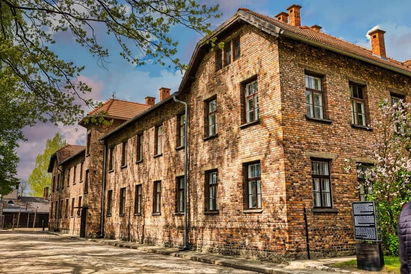 From Krakow: Auschwitz-Birkenau Guided Tour & Transport - Birkenau, scale and silence