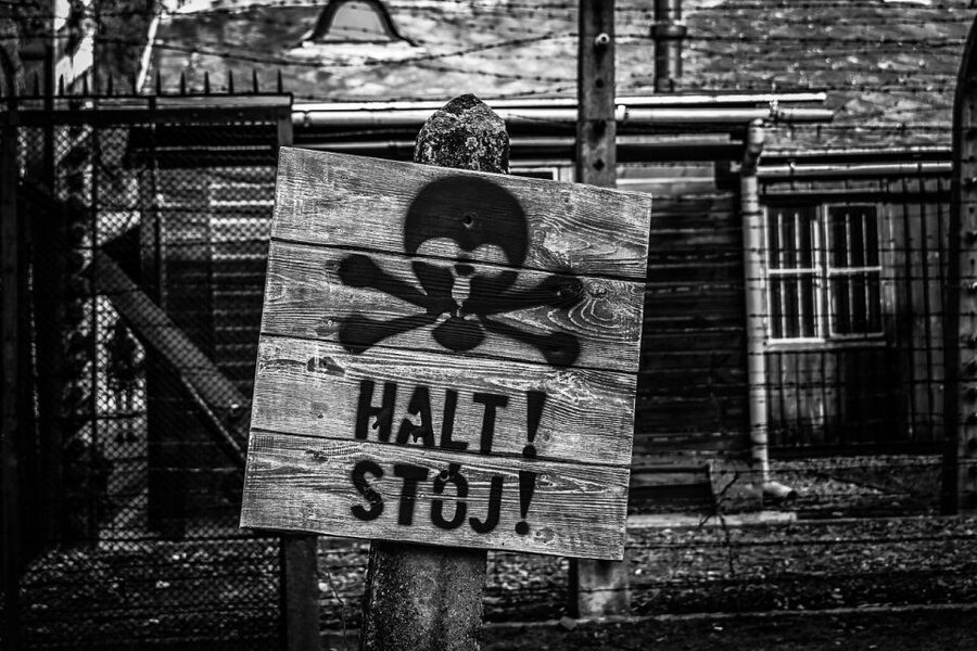 From Krakow: Auschwitz-Birkenau Guided Tour & Transport - The guide and the tone of the day