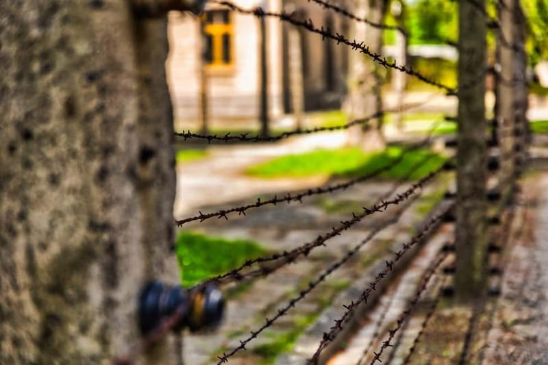 From Krakow: Auschwitz-Birkenau Guided Tour & Transport - Practical advice for a respectful visit