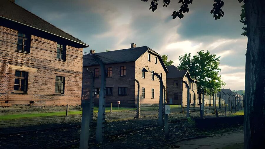 From Krakow: Auschwitz & Birkenau Guided Tour with Pick up - The International Memorial and the quietest part of the tour