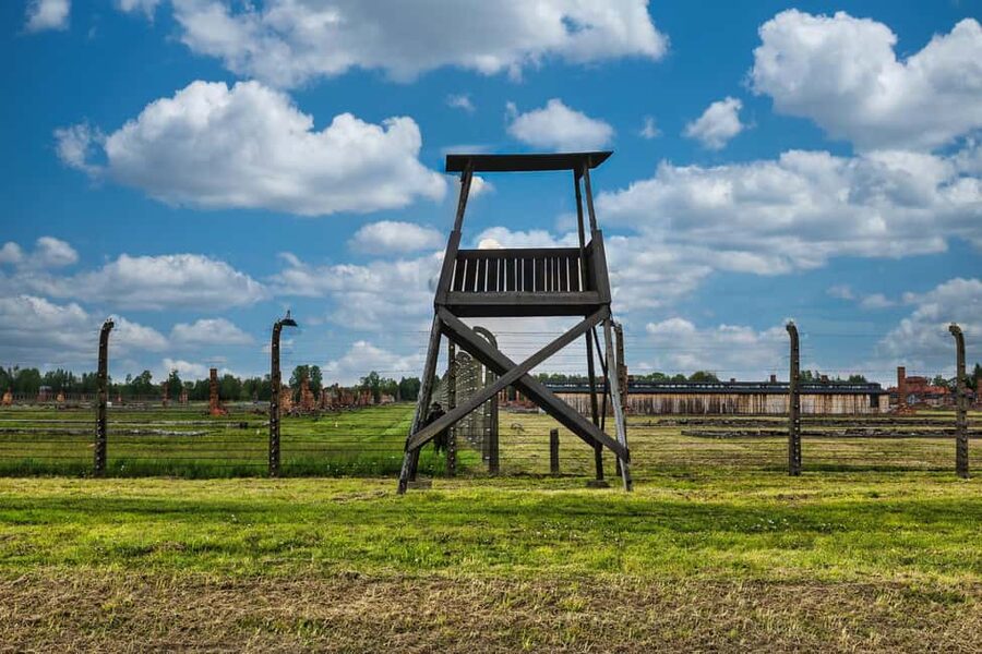 From Krakow: Auschwitz & Birkenau Guided Tour with Pick up - The guide makes a major difference