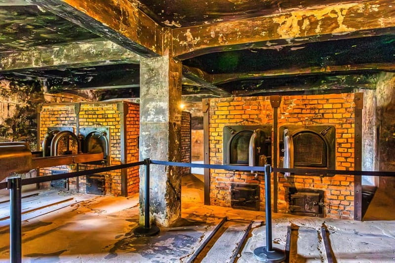 From Krakow: Auschwitz-Birkenau Guided Tour with Transport - Guides who shape the day