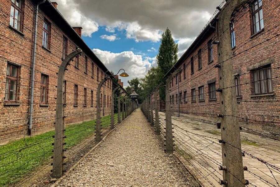 From Krakow: Auschwitz-Birkenau Memorial and Museum Tour - Key points to know before booking