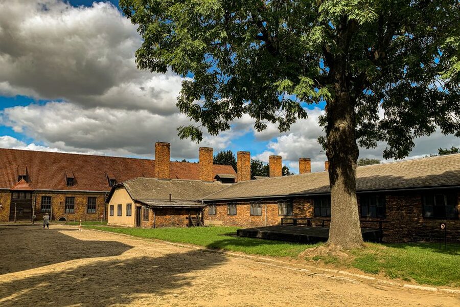From Krakow: Auschwitz-Birkenau Memorial and Museum Tour - Practical preparation for a respectful visit