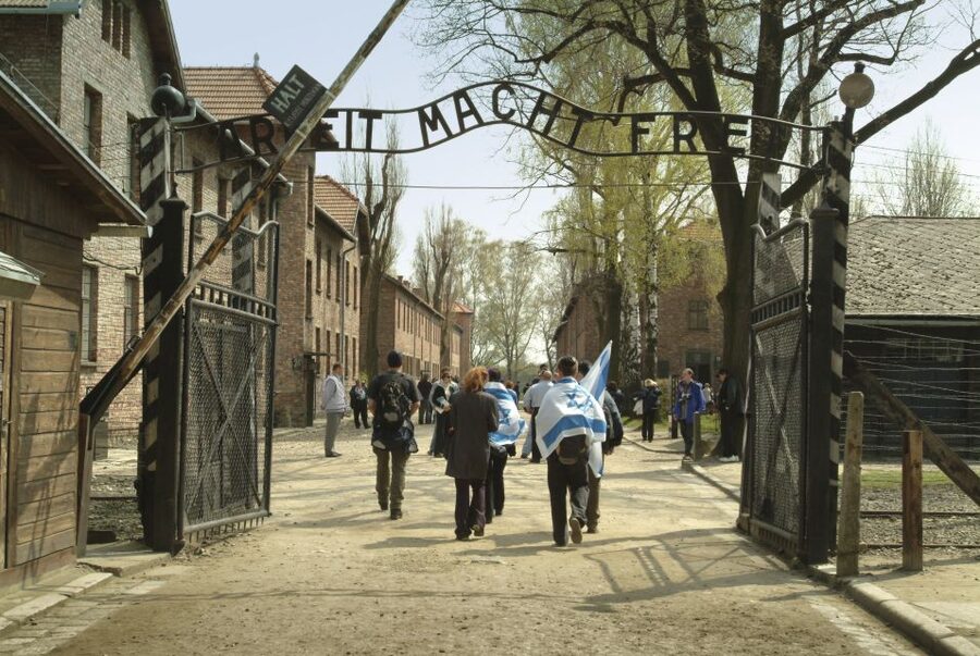 From Krakow: Auschwitz-Birkenau Memorial and Museum Tour - Auschwitz I: prison blocks and exhibitions