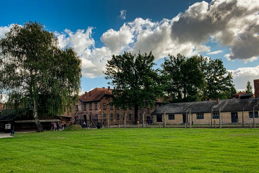 From Krakow: Auschwitz-Birkenau Memorial and Museum Tour - Birkenau: the scale becomes clear