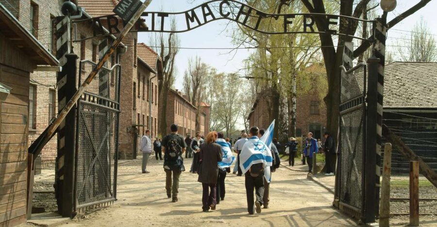 From Krakow: Auschwitz-Birkenau Memorial and Museum Tour - Individual stories and the liberation of 1945