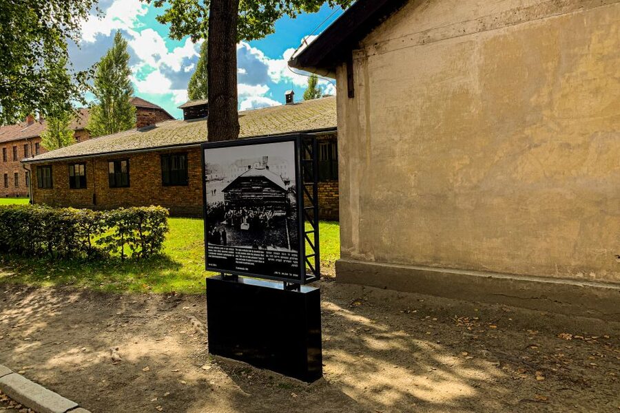 From Krakow: Auschwitz-Birkenau Memorial and Museum Tour - A seven-hour day, with only 15 minutes for food
