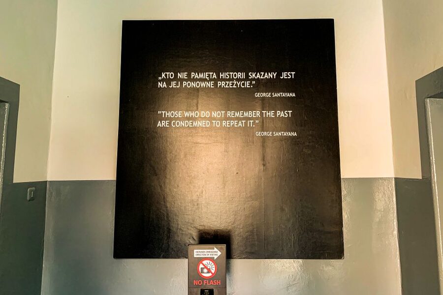 From Krakow: Auschwitz-Birkenau Memorial and Museum Tour - Price and value at $81