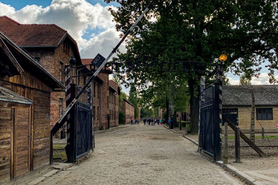 From Krakow: Auschwitz-Birkenau Memorial and Museum Tour - Who should take this tour