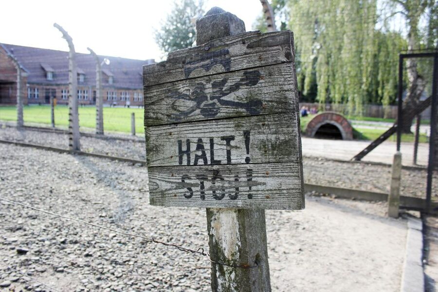 From Kraków: Auschwitz-Birkenau Memorial Guided Tour - Key points at a glance