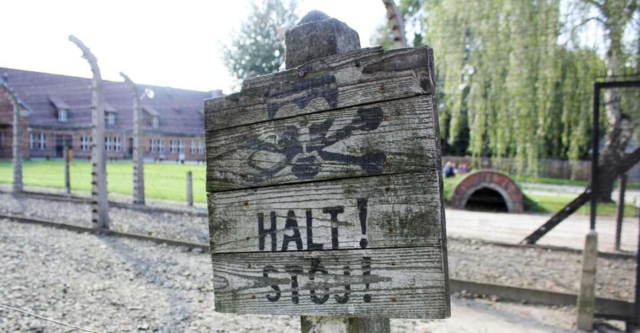 From Kraków: Auschwitz-Birkenau Memorial Guided Tour - Why Auschwitz-Birkenau requires a full day from Kraków