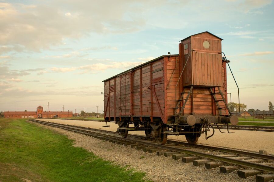 From Kraków: Auschwitz-Birkenau Memorial Guided Tour - Continuing to Birkenau and covering 4 km on foot