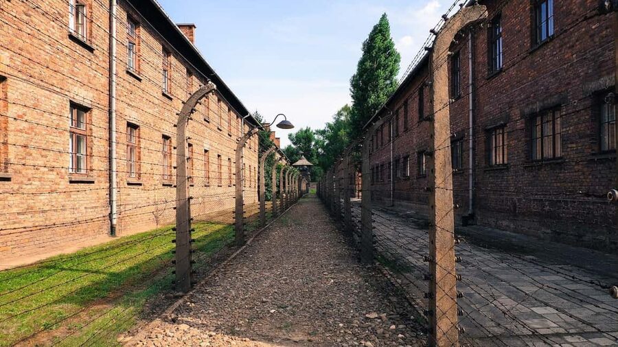 From Krakow: Auschwitz-Birkenau Memorial Private Tour - What the $295 price means in practical terms