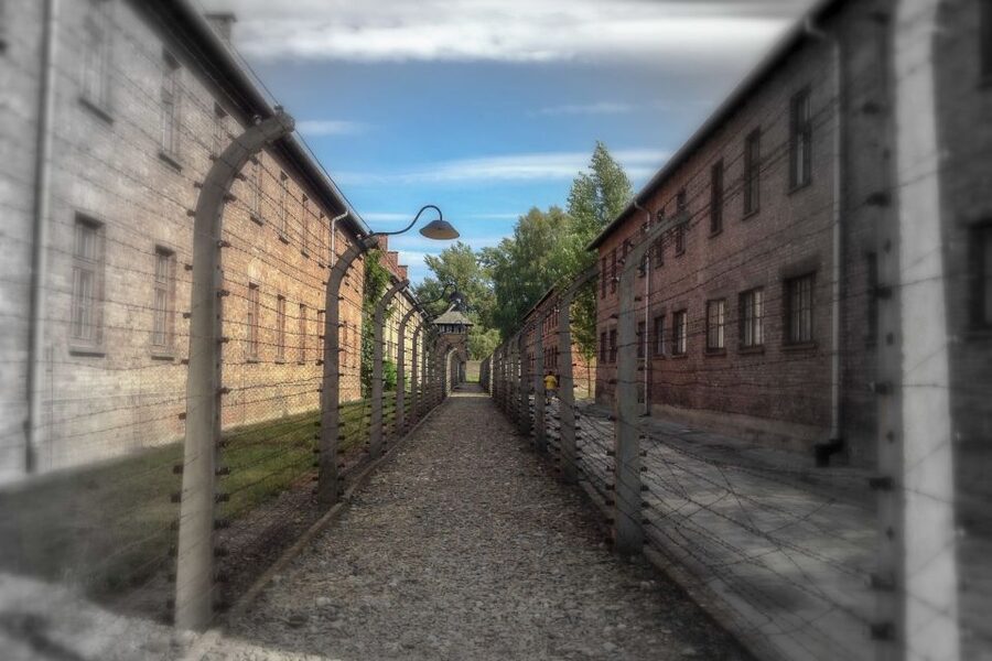 From Krakow: Auschwitz-Birkenau Private or Shared Tour - Private guide or shared tour?