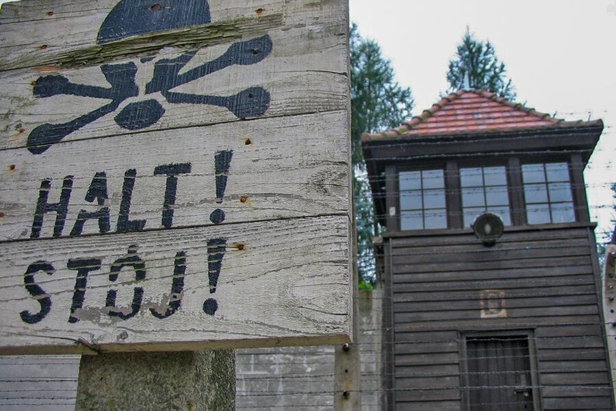 From Krakow: Auschwitz-Birkenau Private or Shared Tour - The human side of the service